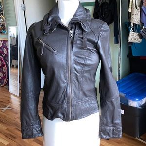 All Saints Belvedere leather jacket brown size 6